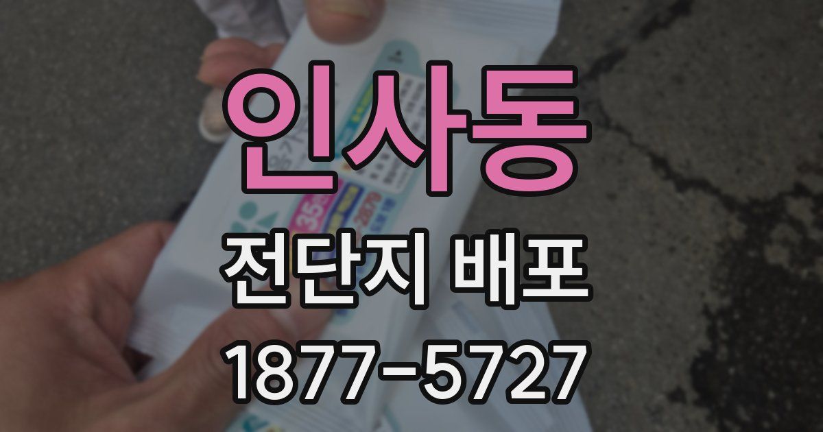 인사동 전단지 배포