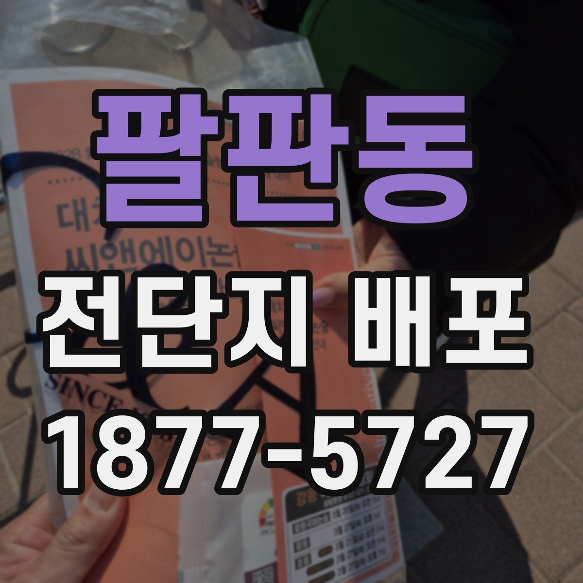 팔판동 전단지 배포