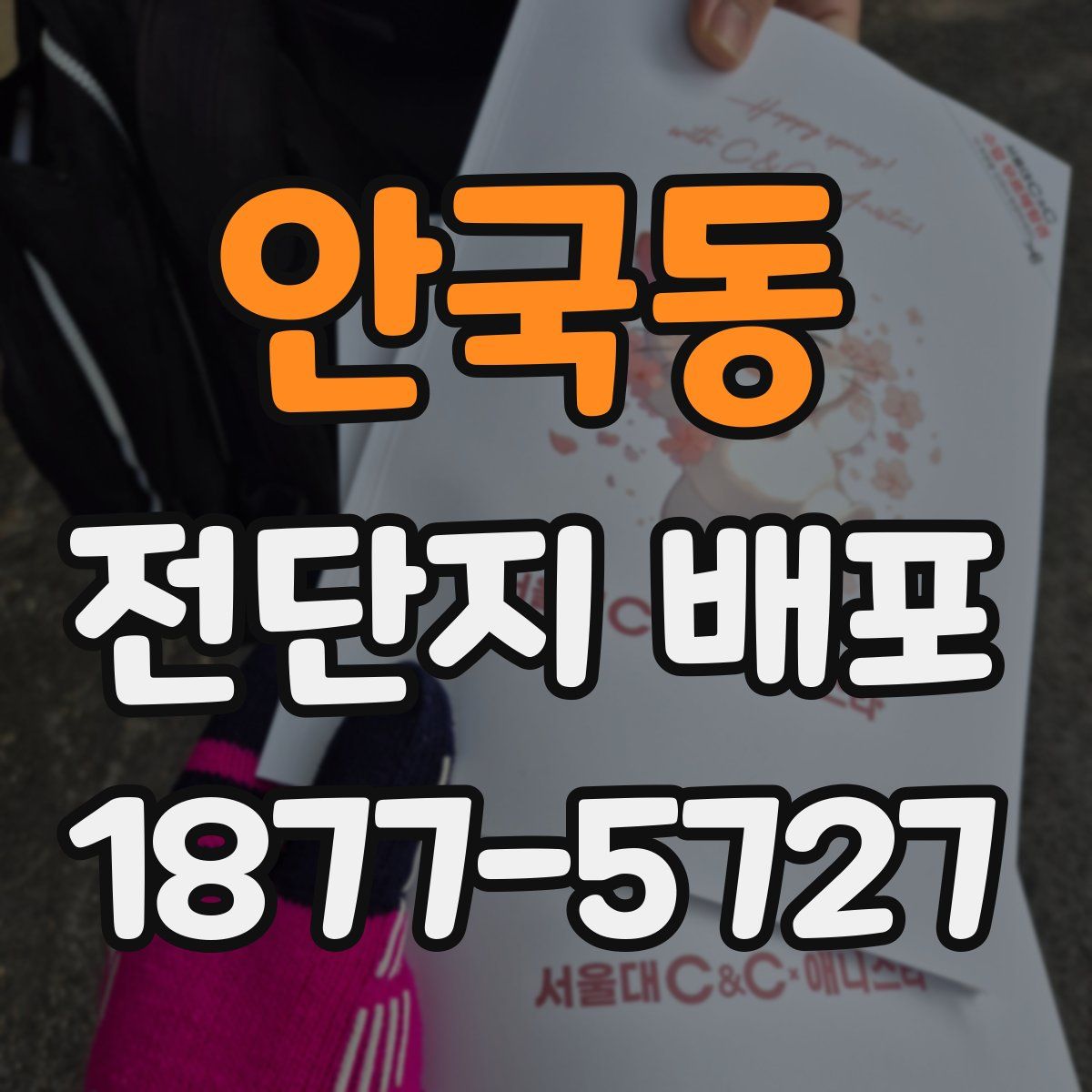 안국동 전단지 배포