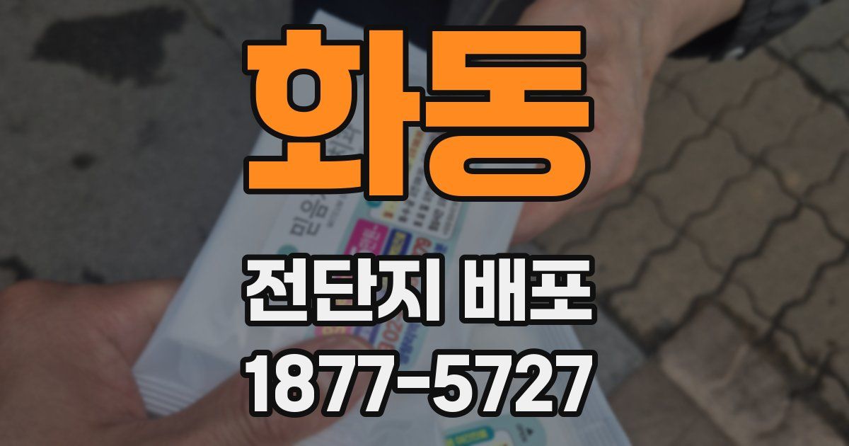 화동 전단지 배포