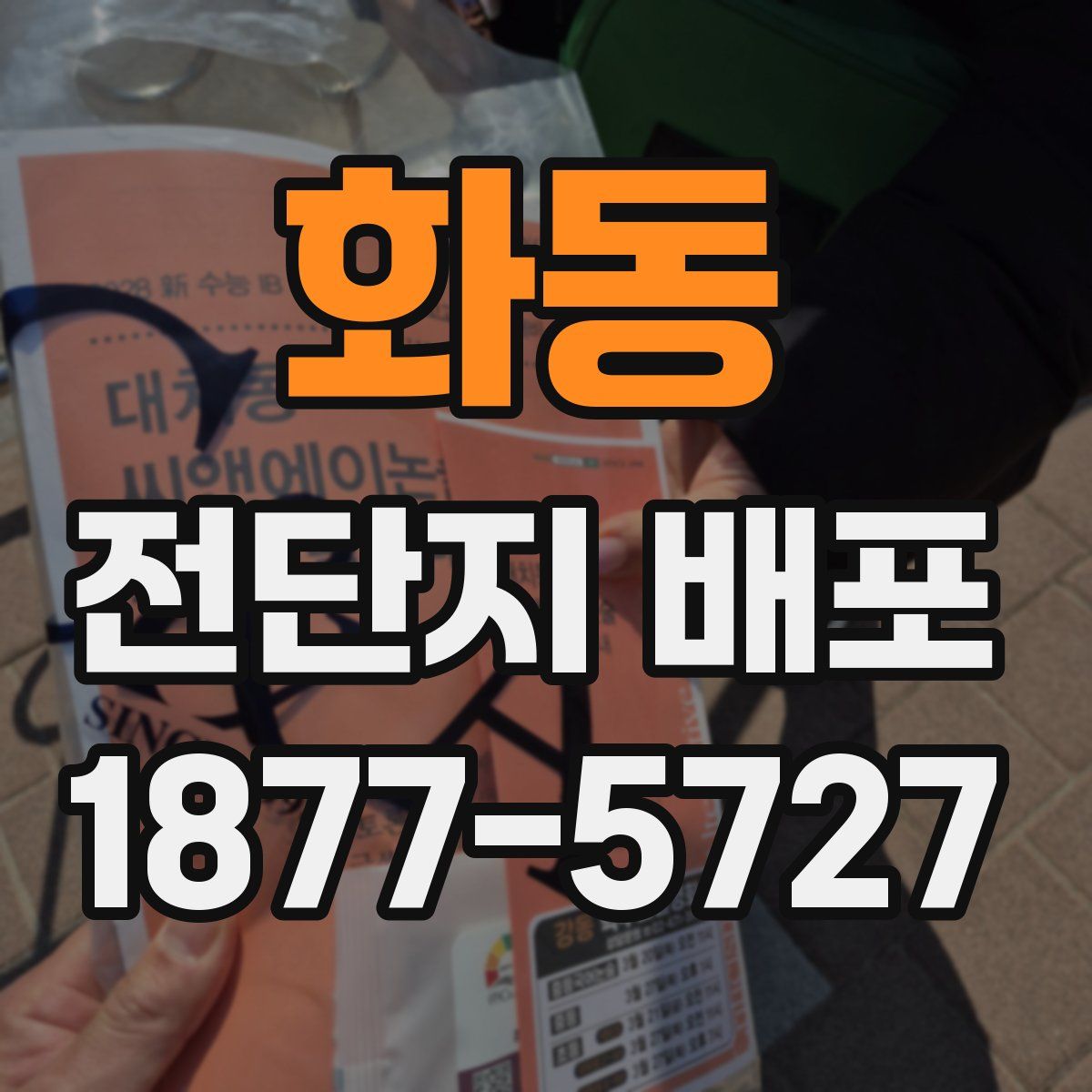 화동 전단지 배포