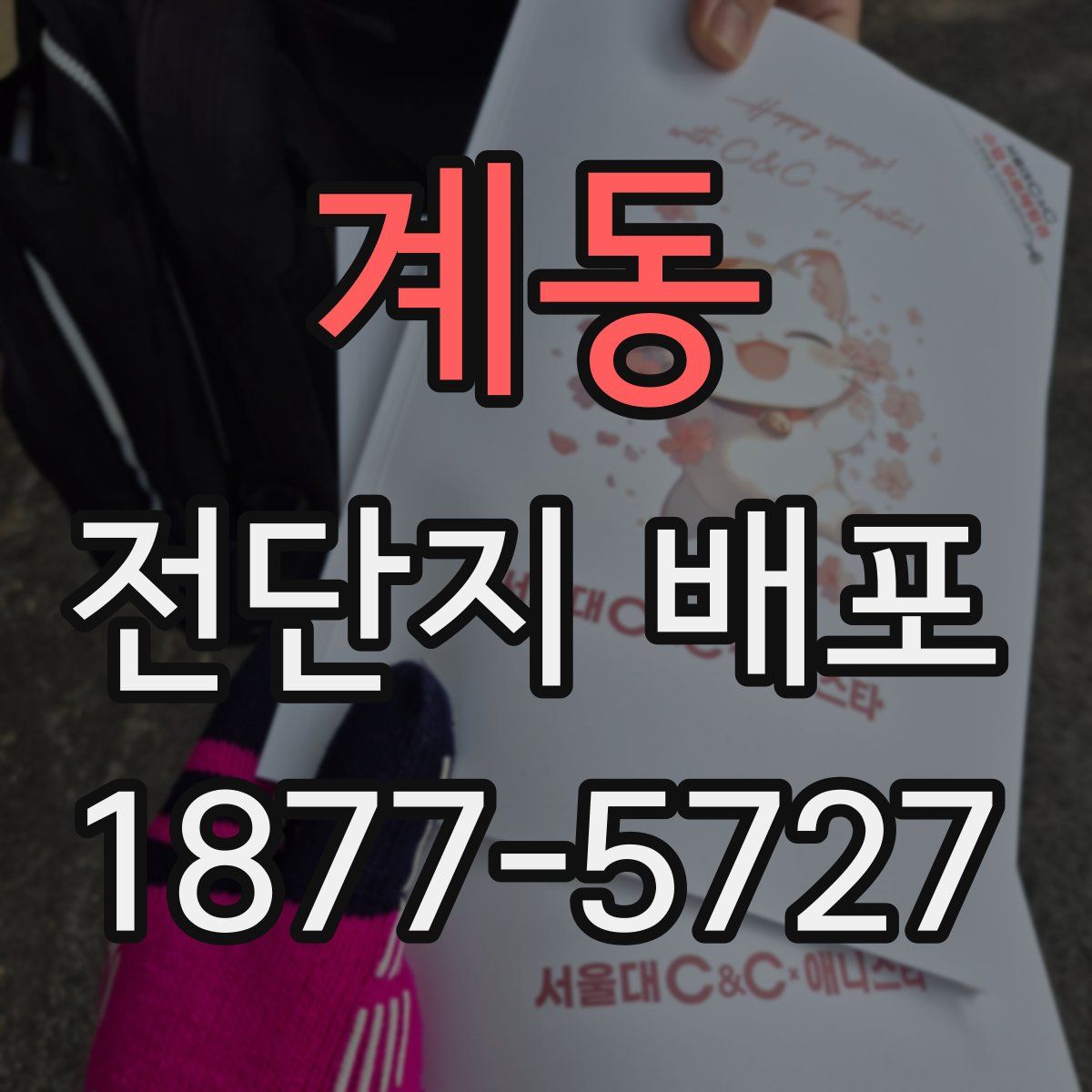 계동 전단지 배포