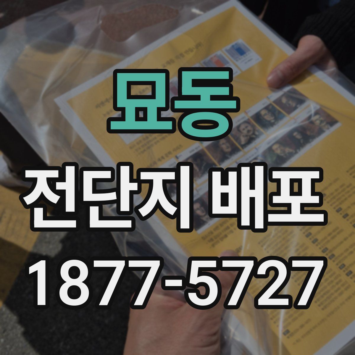 묘동 전단지 배포