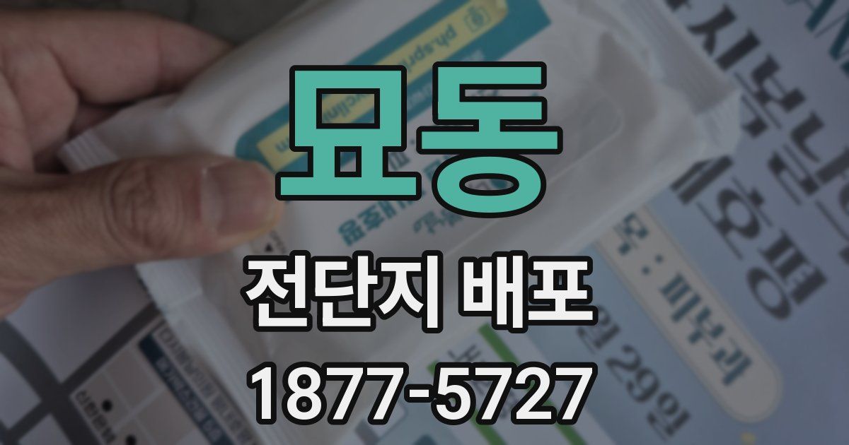 묘동 전단지 배포