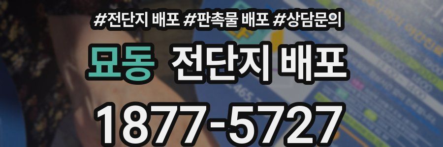 묘동 전단지 배포
