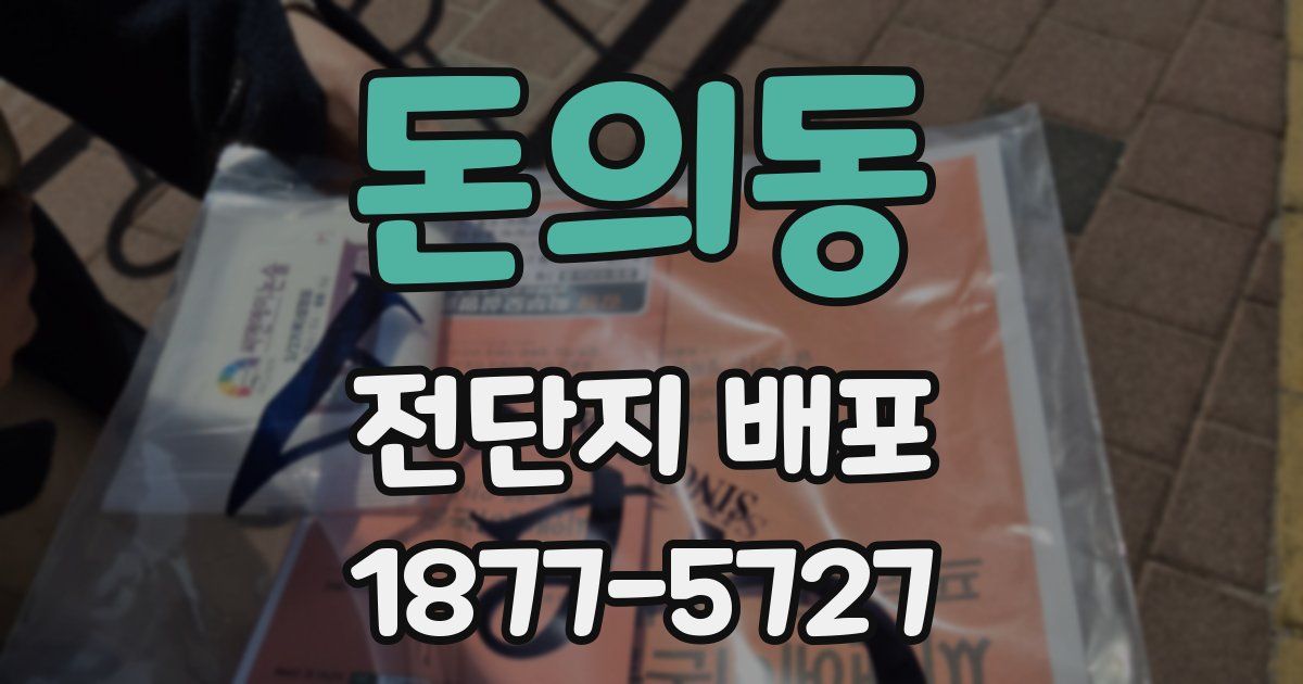 돈의동 전단지 배포