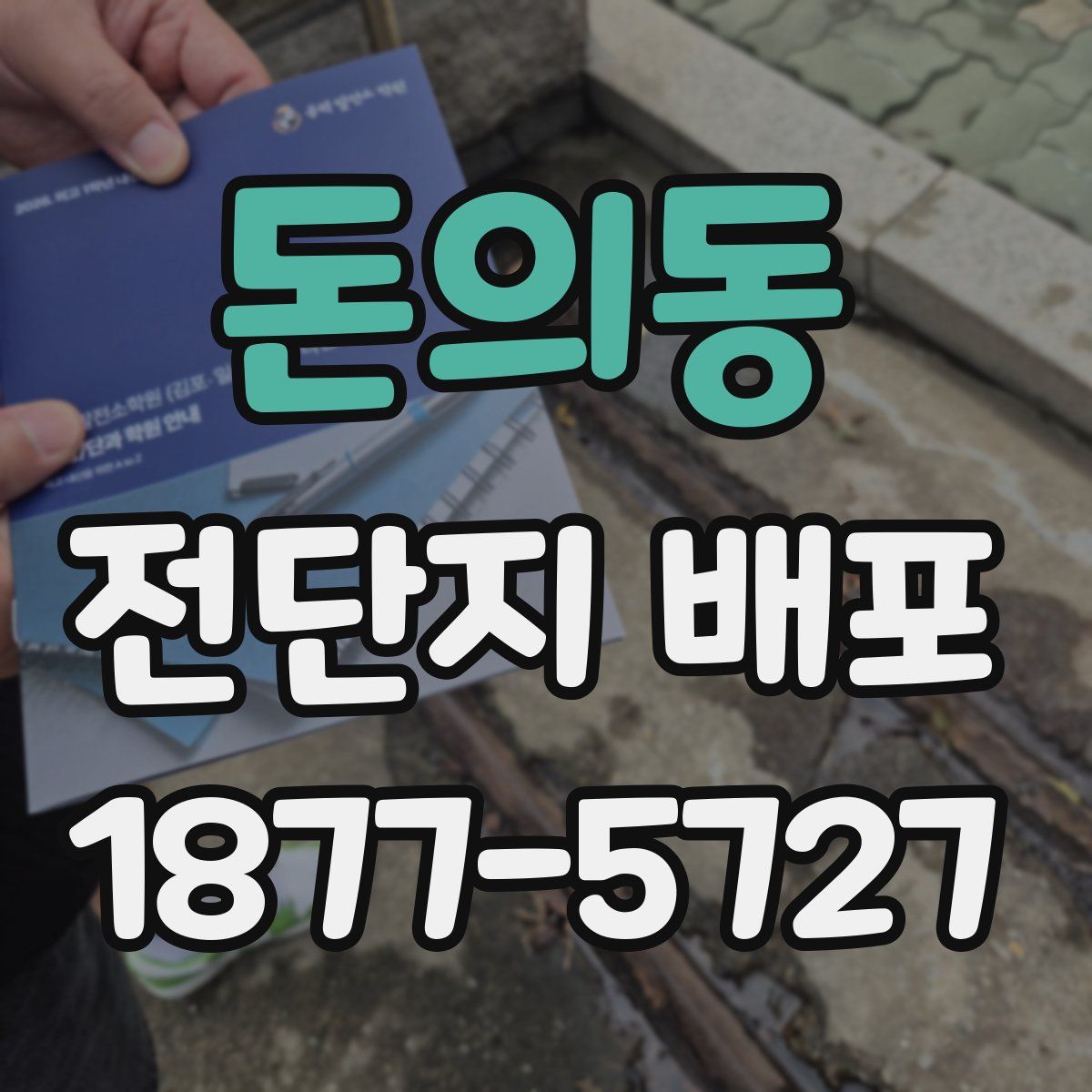 돈의동 전단지 배포