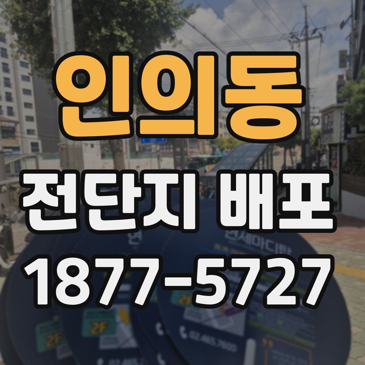 인의동 전단지 배포