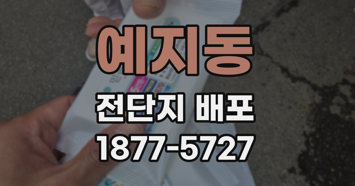예지동 전단지 배포