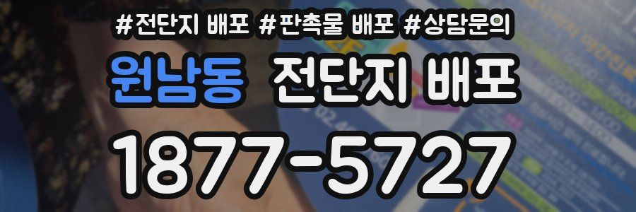 원남동 전단지 배포