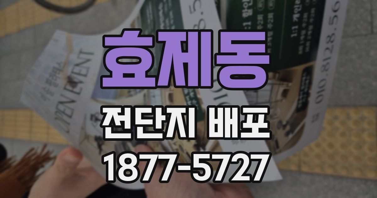 효제동 전단지 배포