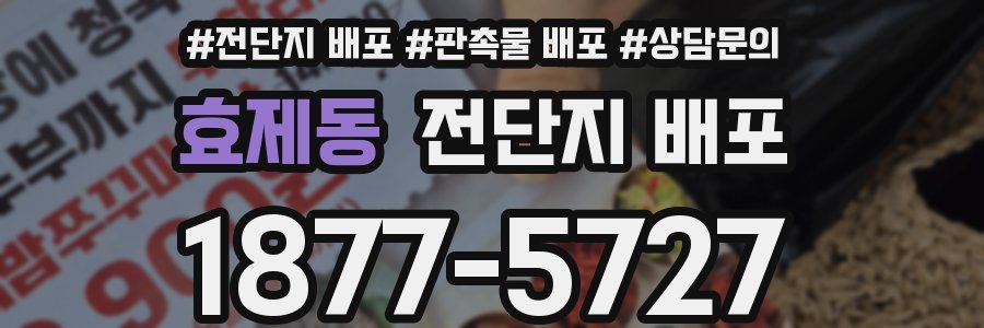 효제동 전단지 배포