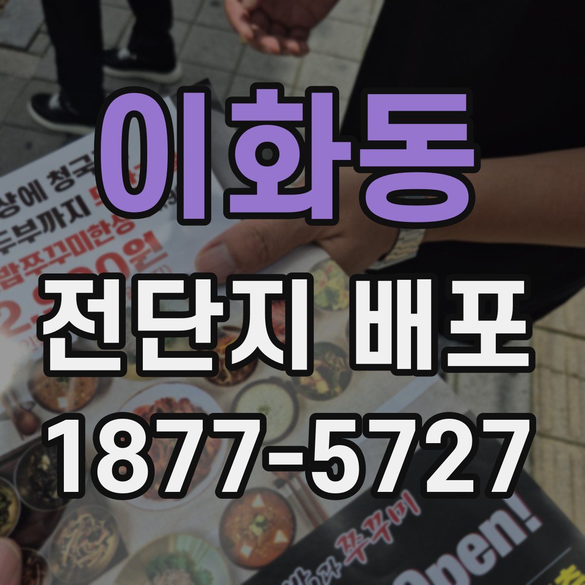 이화동 전단지 배포