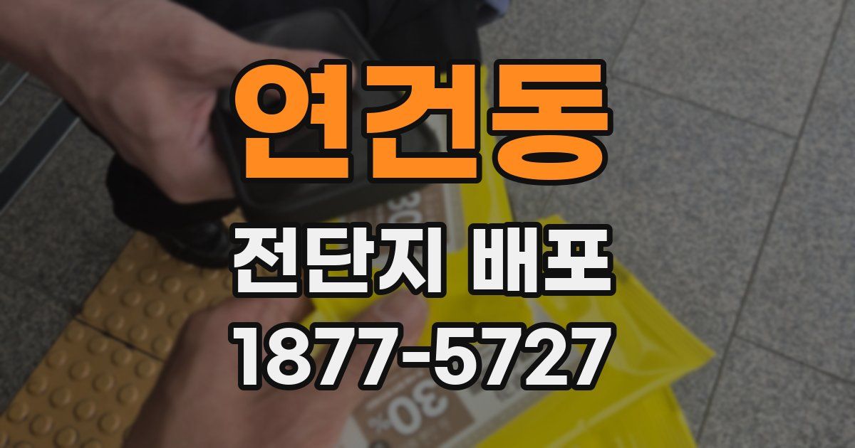 연건동 전단지 배포