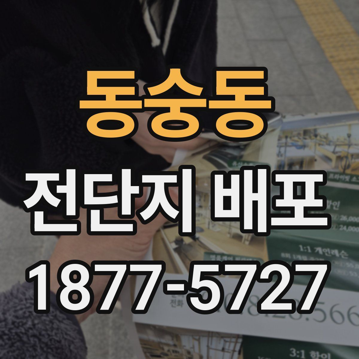 동숭동 전단지 배포