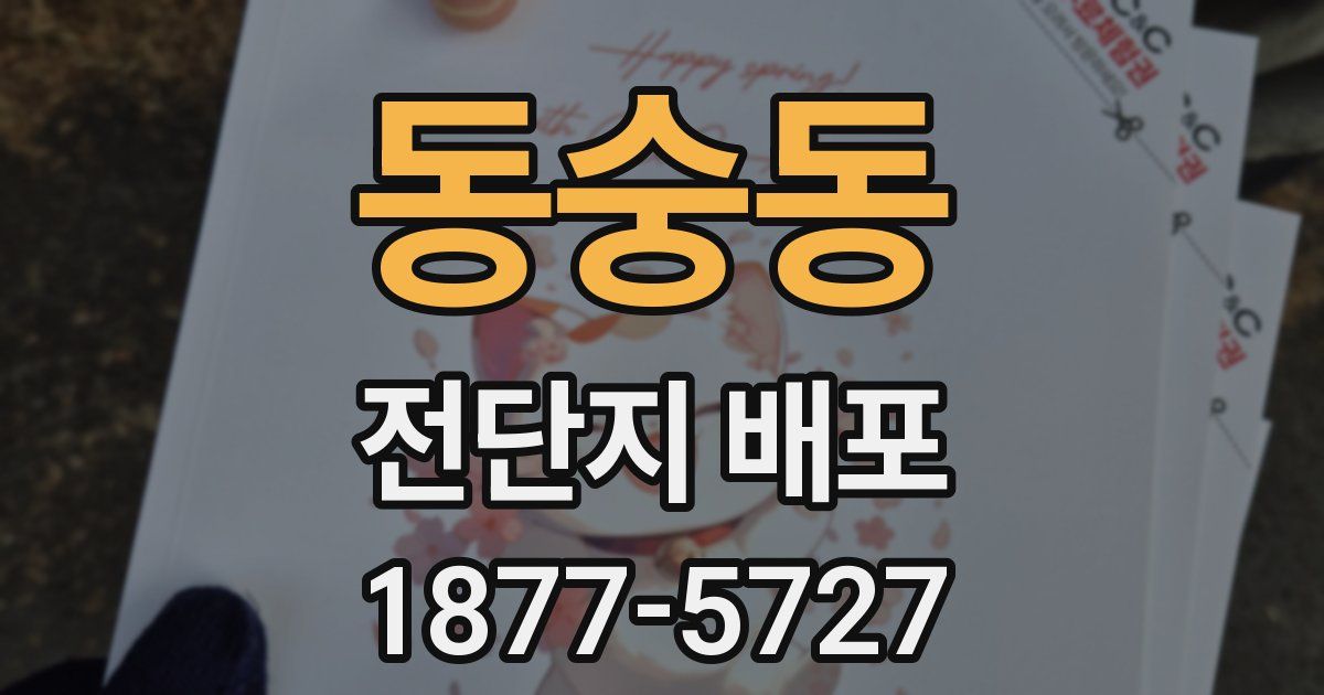 동숭동 전단지 배포