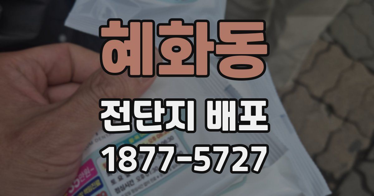 혜화동 전단지 배포