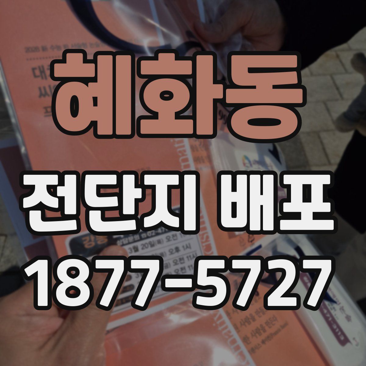 혜화동 전단지 배포