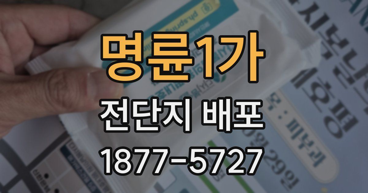 명륜1가 전단지 배포