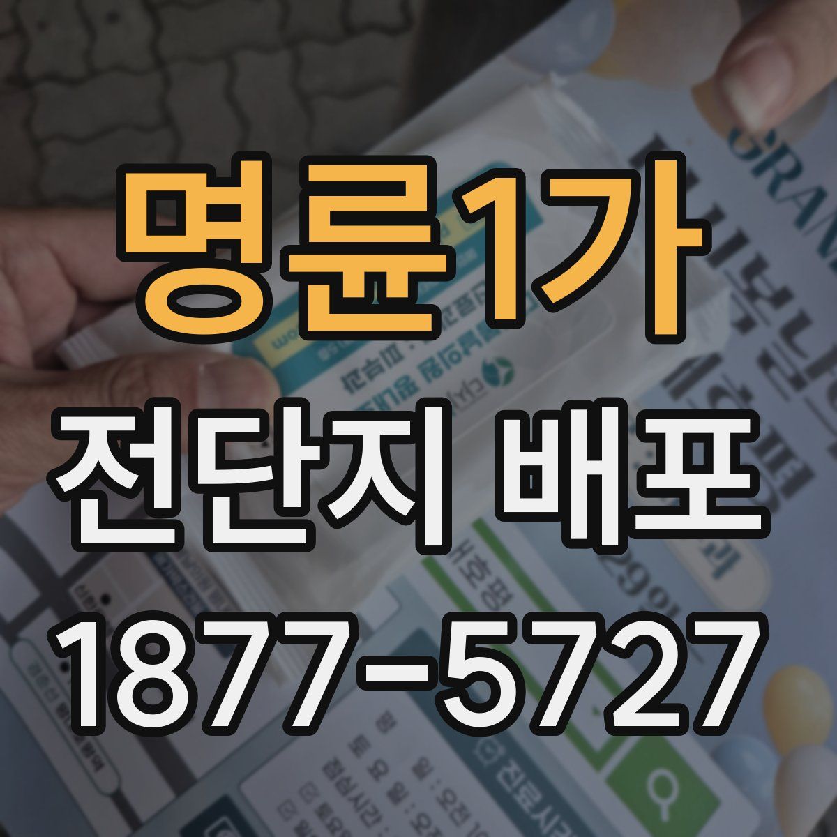 명륜1가 전단지 배포