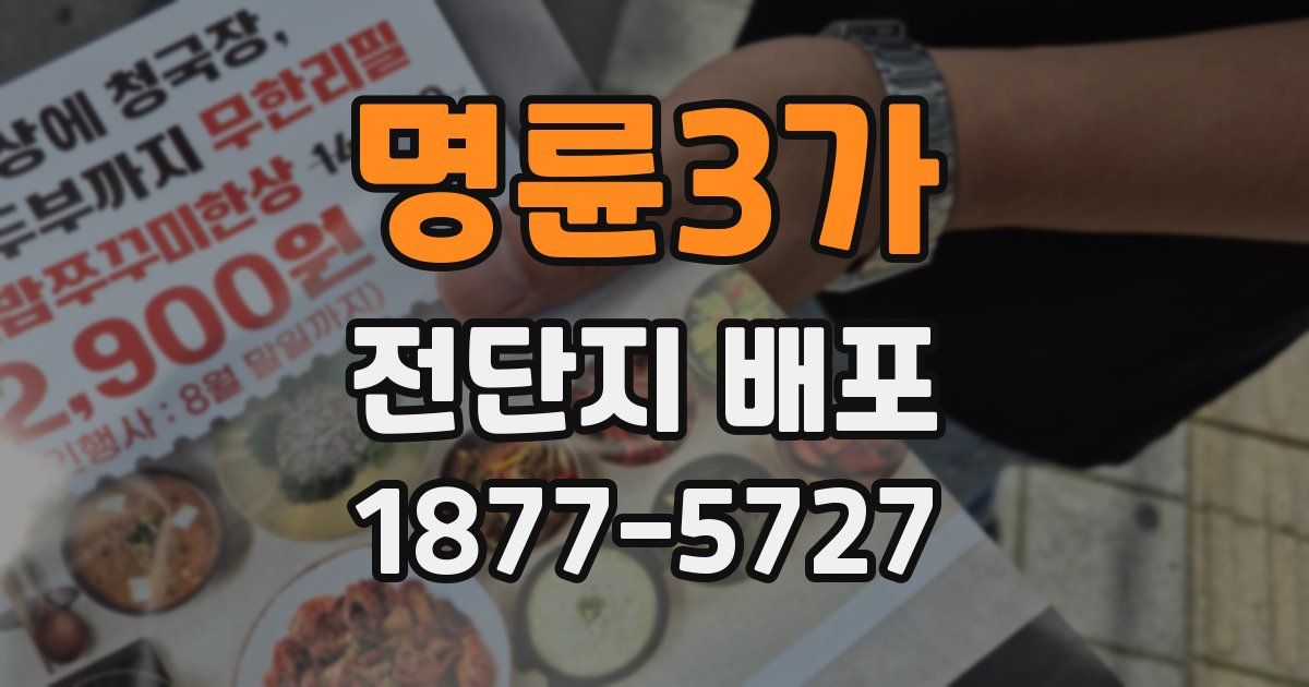 명륜3가 전단지 배포