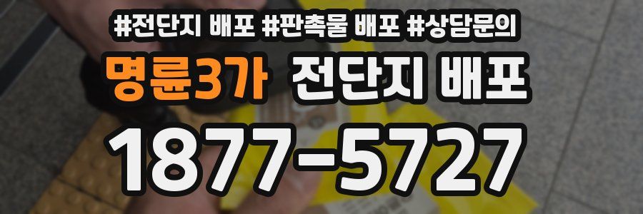 명륜3가 전단지 배포