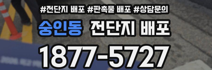 숭인동 전단지 배포