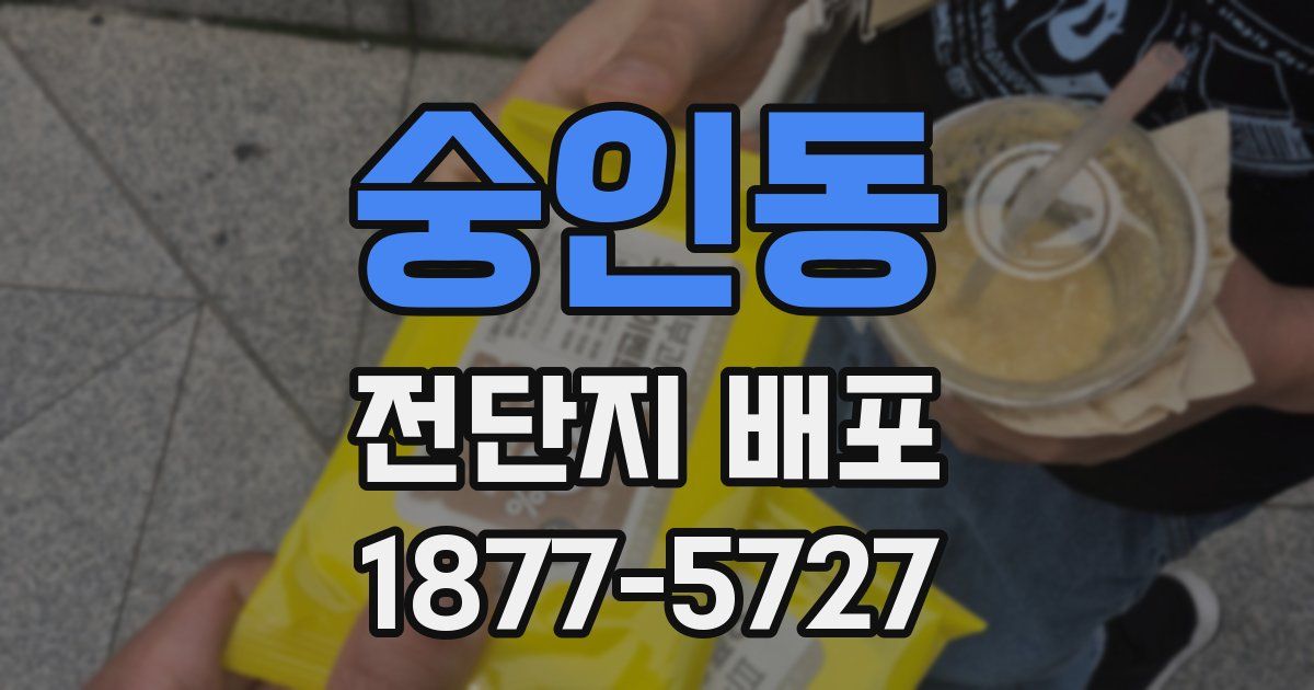 숭인동 전단지 배포