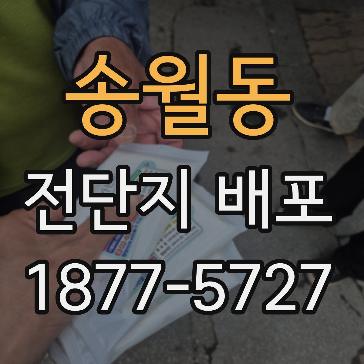 송월동 전단지 배포