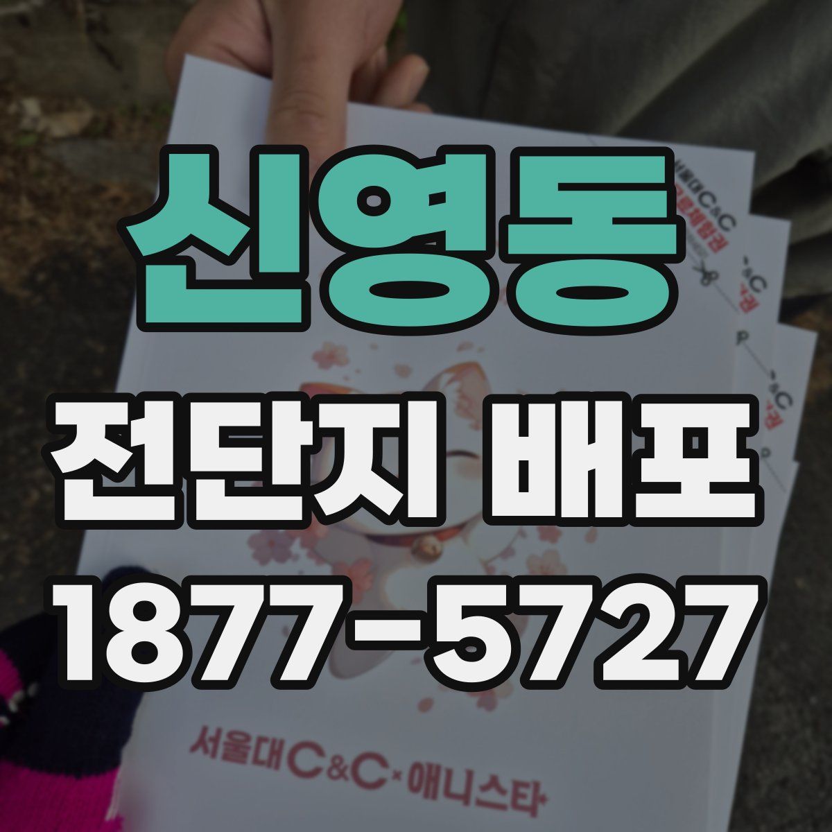 신영동 전단지 배포