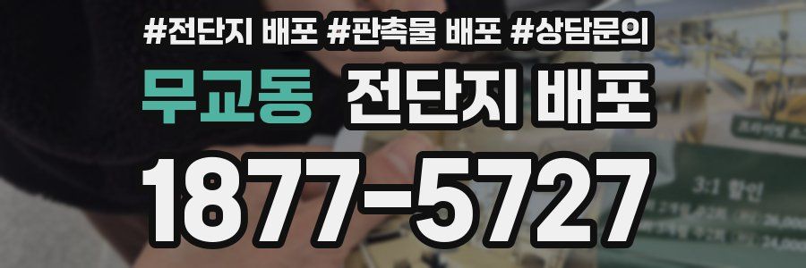 무교동 전단지 배포