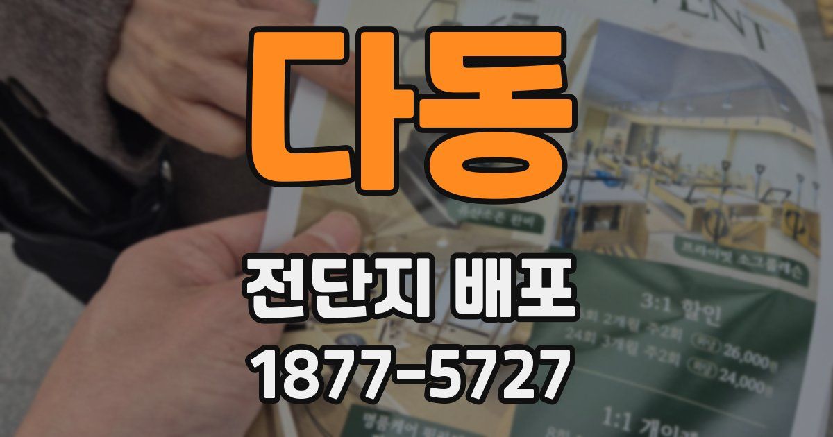 다동 전단지 배포
