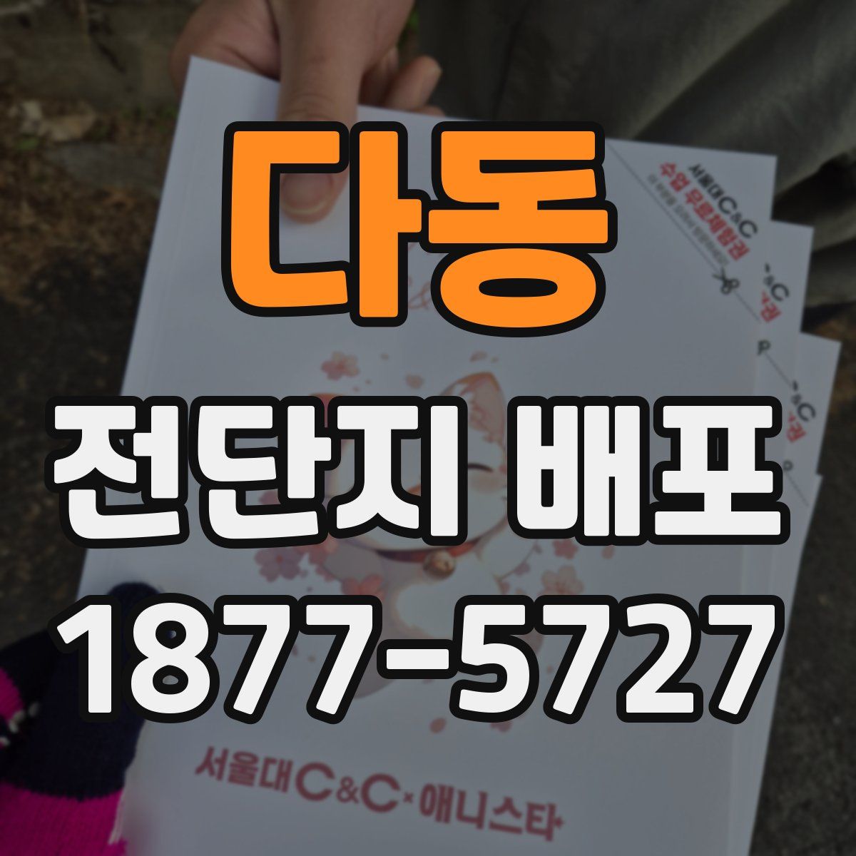 다동 전단지 배포