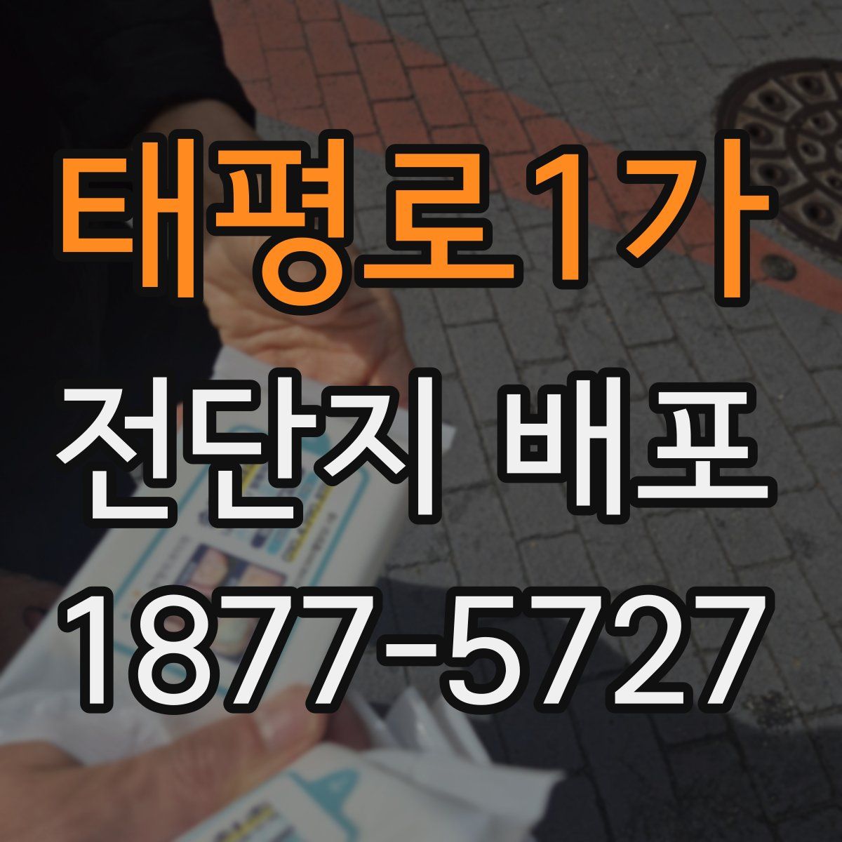 태평로1가 전단지 배포