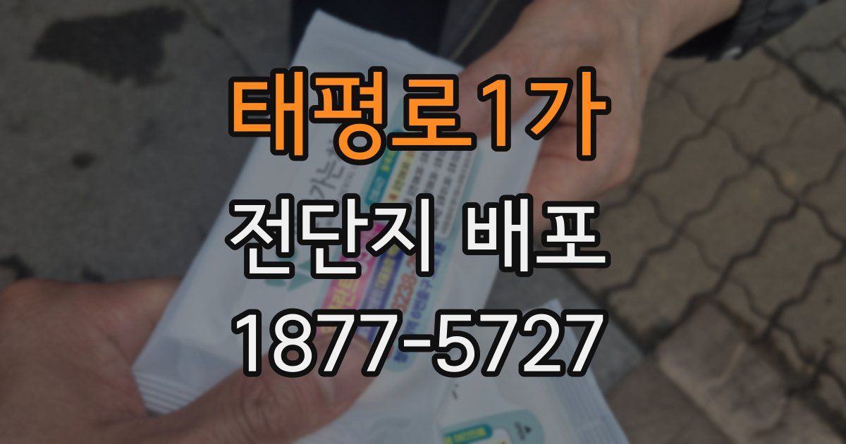 태평로1가 전단지 배포