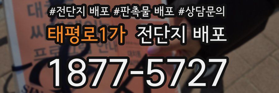 태평로1가 전단지 배포