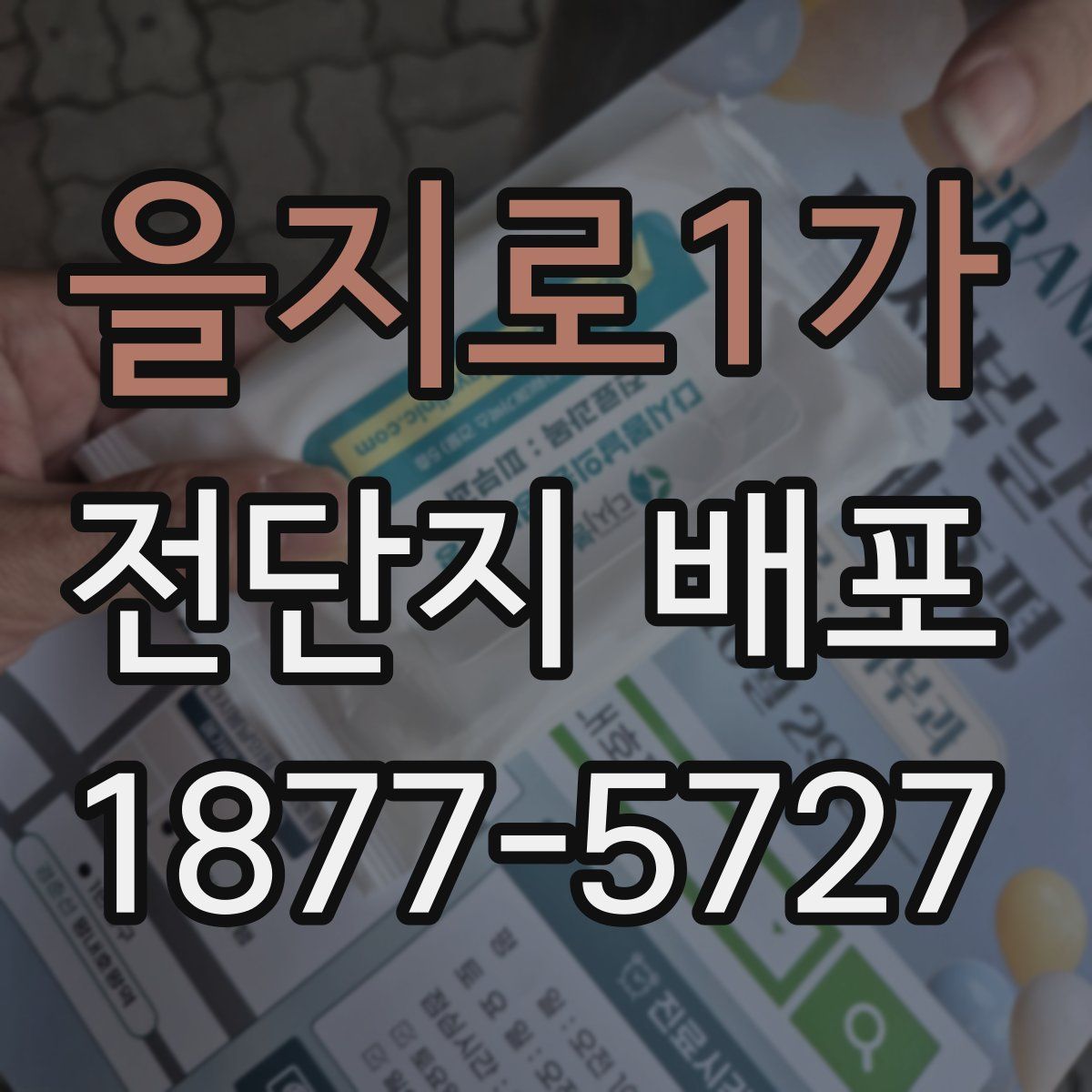 을지로1가 전단지 배포