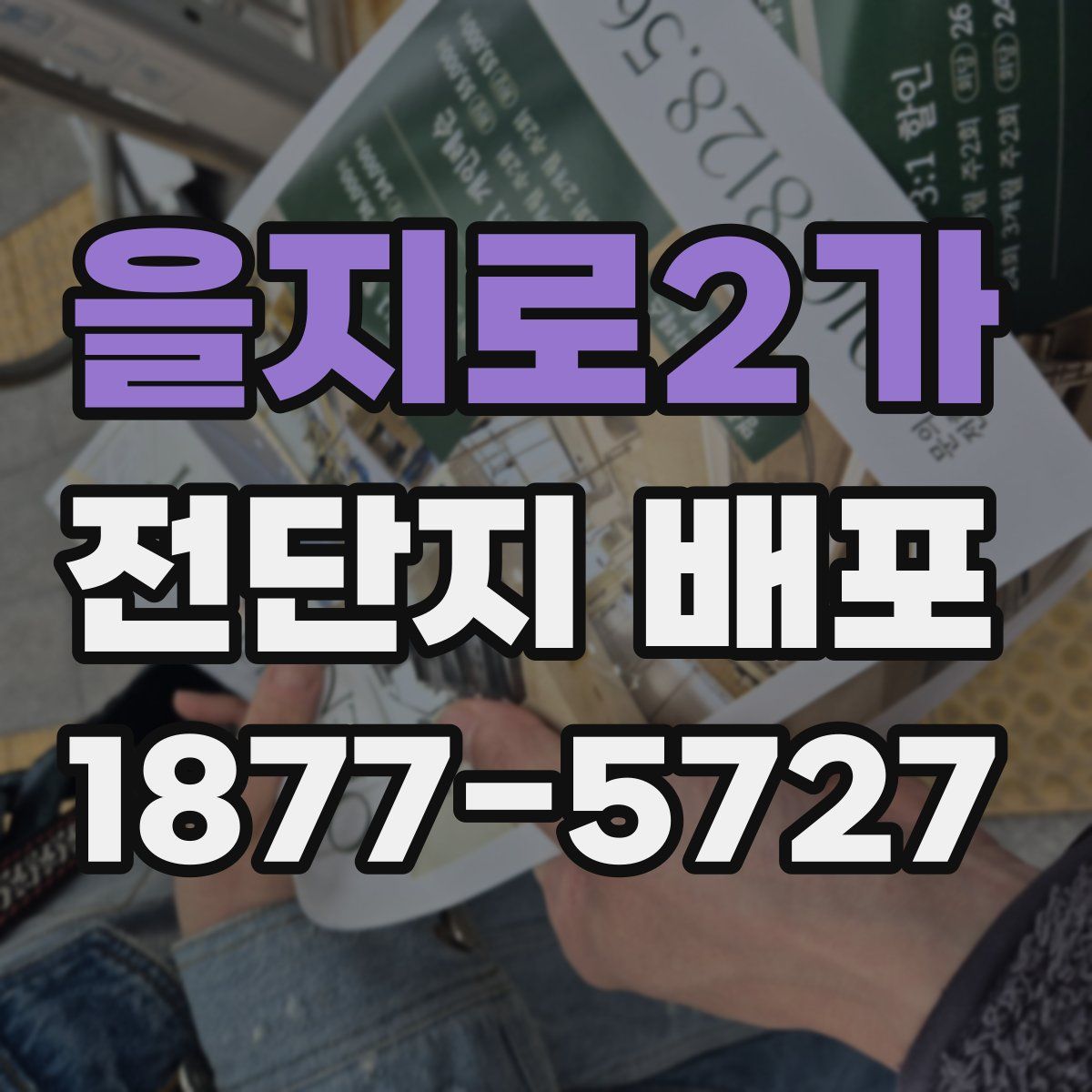 을지로2가 전단지 배포
