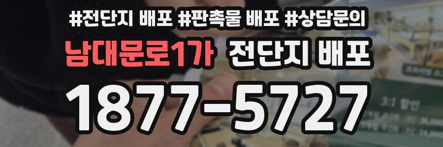 남대문로1가 전단지 배포