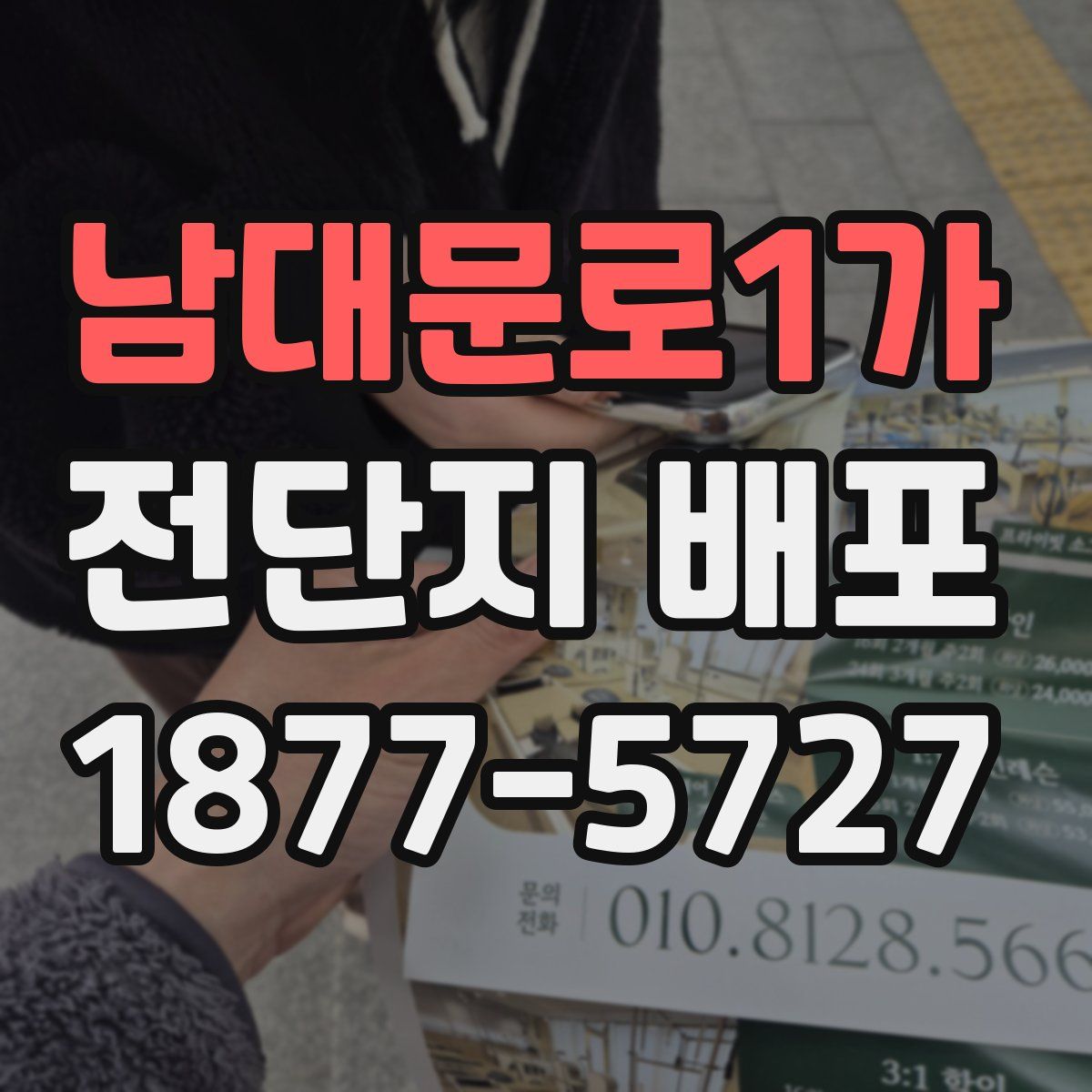 남대문로1가 전단지 배포