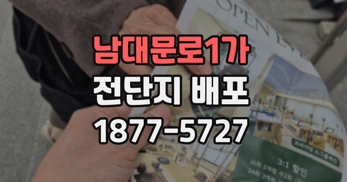 남대문로1가 전단지 배포