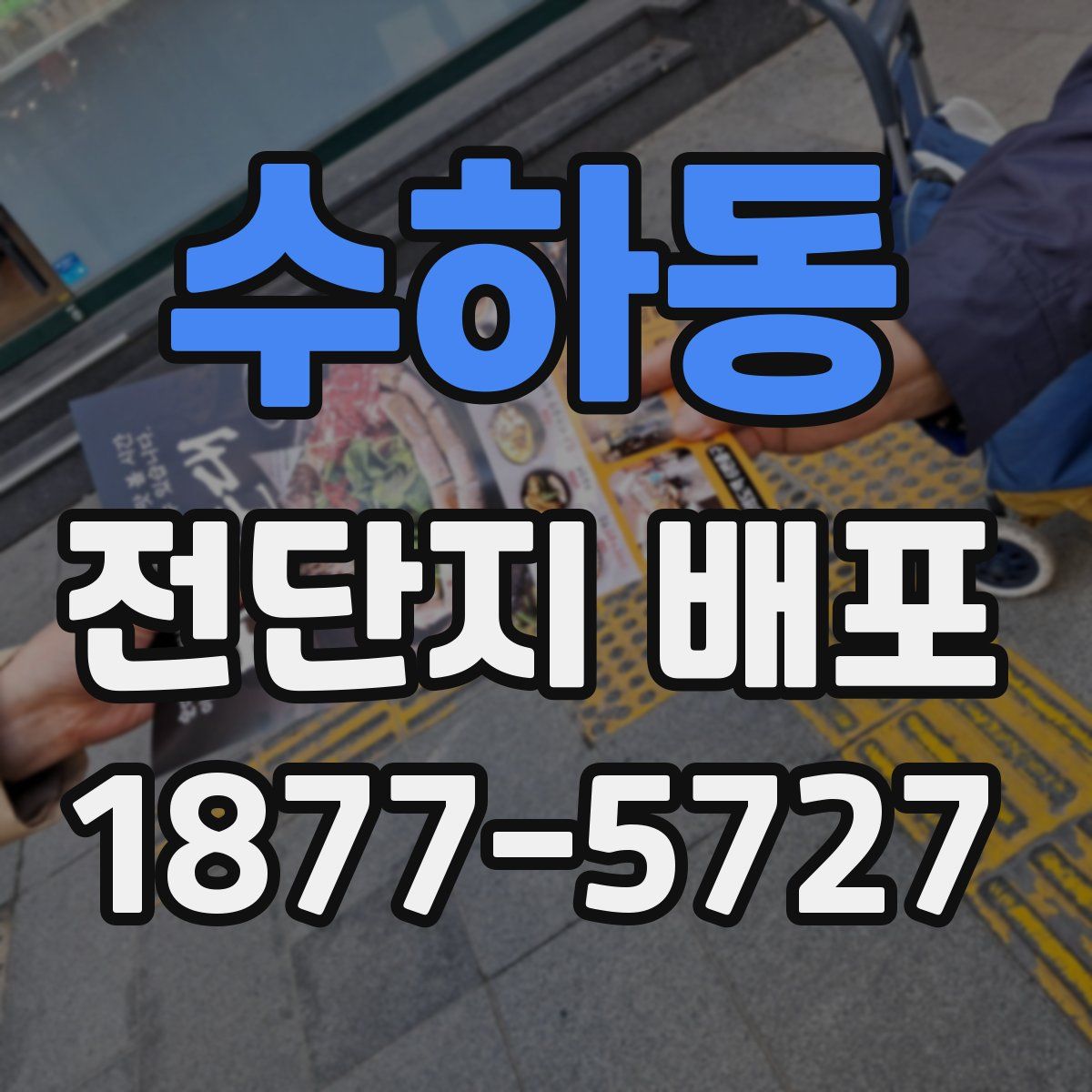 수하동 전단지 배포