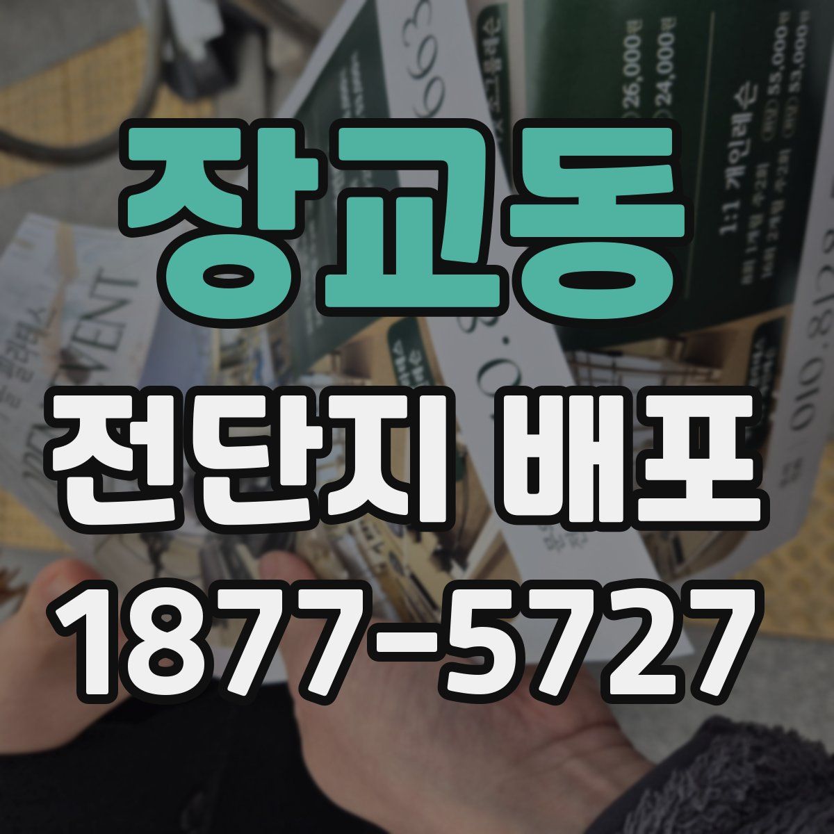 장교동 전단지 배포