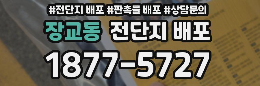 장교동 전단지 배포