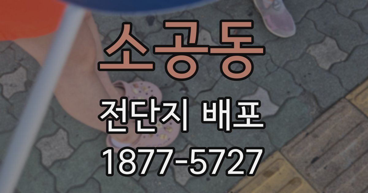 소공동 전단지 배포