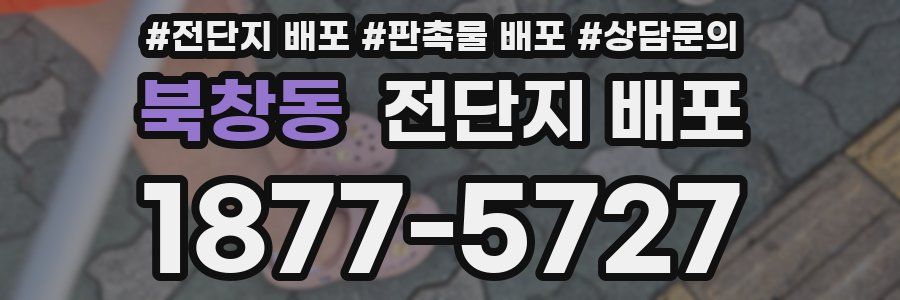 북창동 전단지 배포