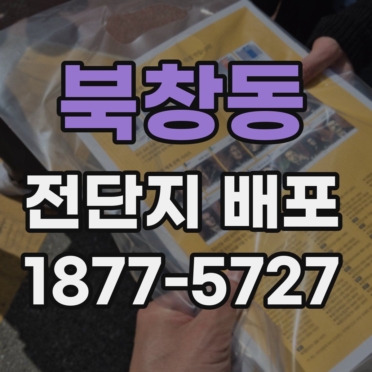 북창동 전단지 배포