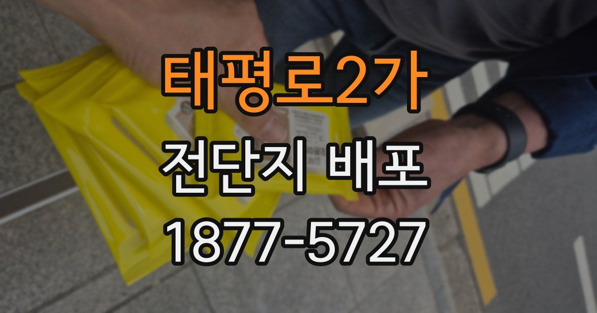 태평로2가 전단지 배포