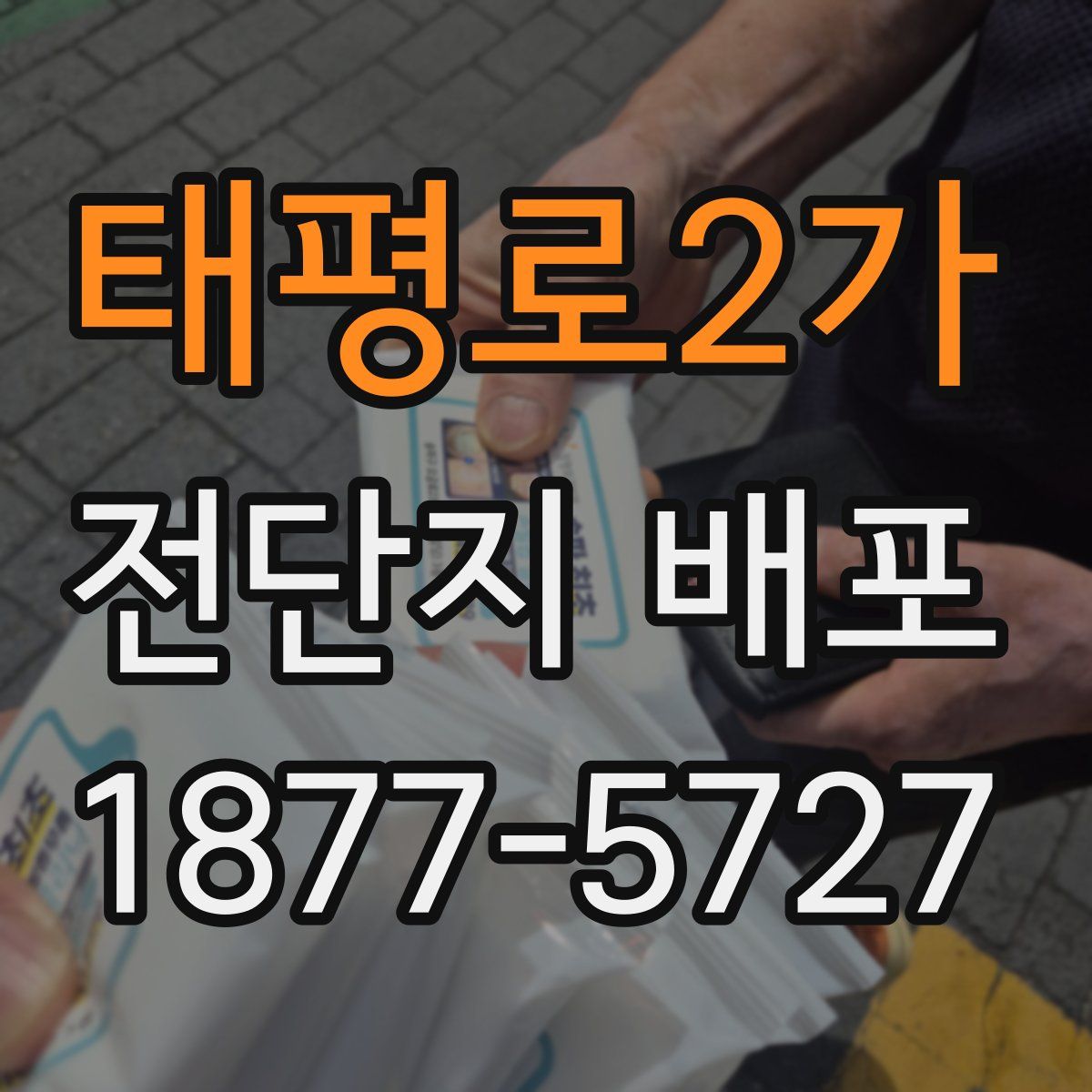 태평로2가 전단지 배포