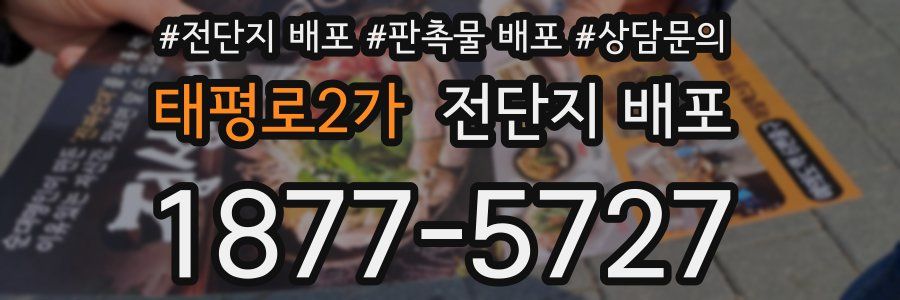 태평로2가 전단지 배포